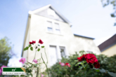 Seitenansicht - Seltene Gelegenheit! Jugendstilhaus in bevorzugter Lage von Haan